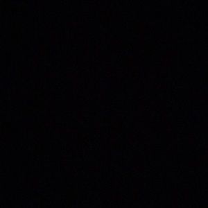 Meet your Posher, Wyatt